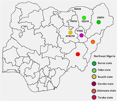 Emerging cancer disease burden in a rural sub-Saharan African population: northeast Nigeria in focus